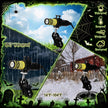 Aurelema 1 Pack Green Laser Halloween Module Generator with Timer,Green | Halloween Projector Light, Work with Low Lying Fog Machine (Not Included), IP67 Waterproof Outdoor Scary House Garden Decor